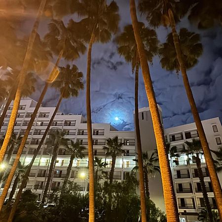 דירות Playa Feñabe Vina Del Mar מראה חיצוני תמונה