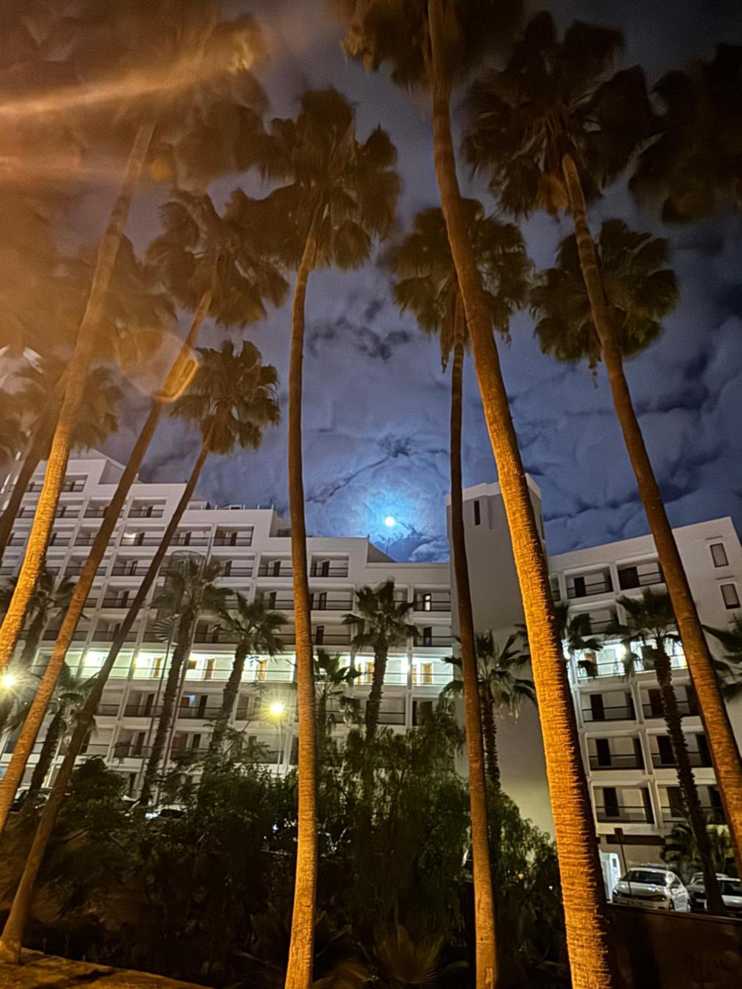 דירות Playa Feñabe Vina Del Mar מראה חיצוני תמונה